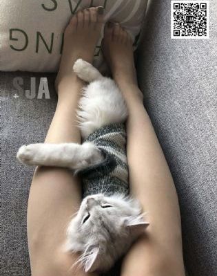欧美风情的头像女_BD在线观看高清