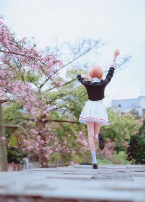 日韩世界杯10强赛_超清免费观看韩国